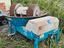 Immagine 2