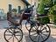 Immagine 16