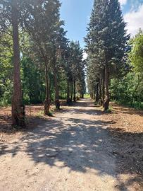 Formigine-casa-rustici e 8 ettari di bosco