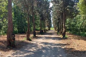 Formigine-casa-rustici e 8 ettari di bosco