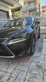 Lexus NX 300h (Executive 4WD)