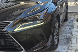 Lexus NX 300h (Executive 4WD)