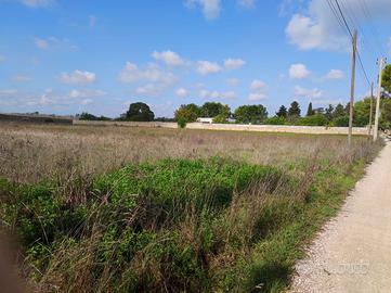 Vendesi terreno agricolo ed edificabile