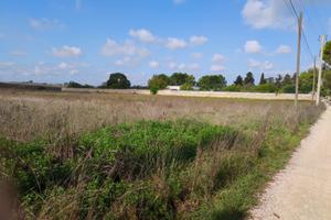 Terreno agricolo ed edificabile