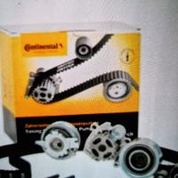 kit cinghia distribuzione 