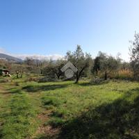 TER. AGRICOLO A MONTOPOLI DI SABINA