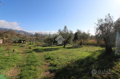 TER. AGRICOLO A MONTOPOLI DI SABINA