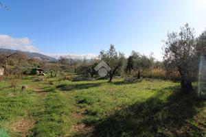 TER. AGRICOLO A MONTOPOLI DI SABINA