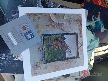 cofanetto led zeppelin 