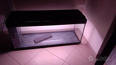 acquario 240 litri 