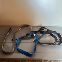 Guinzaglio e corpetto per cane piccole dimensioni