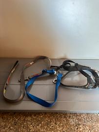 Guinzaglio e corpetto per cane piccole dimensioni