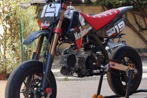 Pitom EVO 2019 - YX160