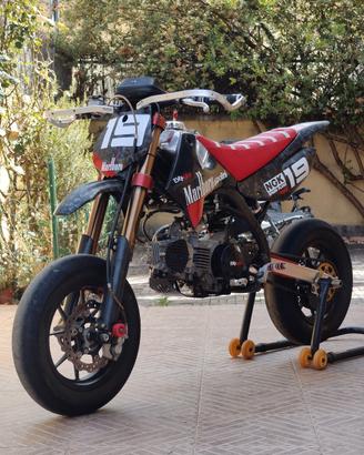 Pitom EVO 2019 - YX160