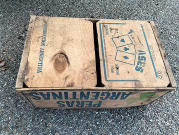 Cassette Legno frutta Pera Mela Argentina in LEGNO