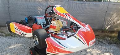 kart Birel 100 easy kart 