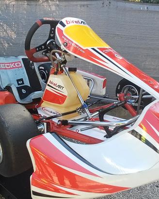 kart Birel 100 easy kart 