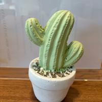 Soprammobile cactus