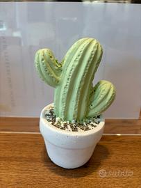 Soprammobile cactus