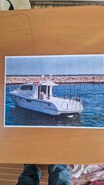 barca polyform triakis 35