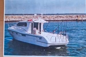 barca polyform triakis 35