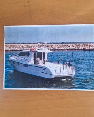 barca polyform triakis 35