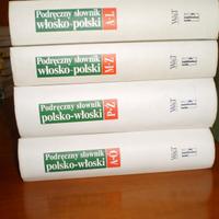 Dizionario polacco italiano