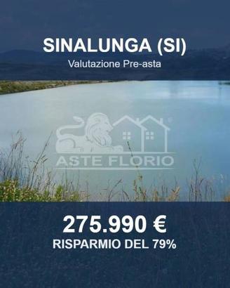 Immobile in asta di 373964 m² a Sinalunga