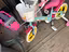 Immagine 4