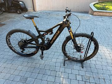 Mtb whistle c10 motore bosch performance