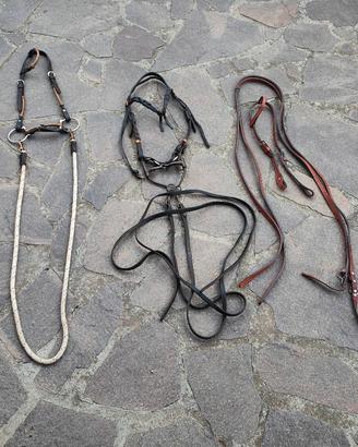 Attrezzatura per equitazione 