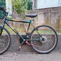 mountain bike in buone condizioni