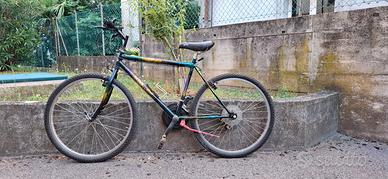 mountain bike in buone condizioni
