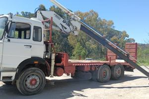 Iveco 190-targa gialla-gru-pianale