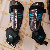 Parastinchi predator