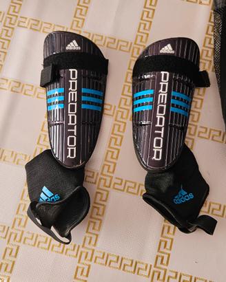 Parastinchi predator