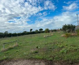 Terreno agricolo