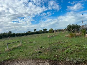 Terreno agricolo