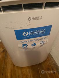 Climatizzatore portatile