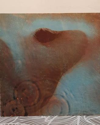 Meddle vinile rarissimo dei Pink Floyd