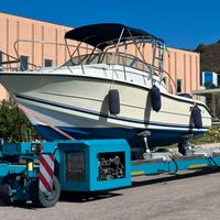 Triton 226