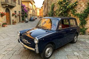 Autobianchi Bianchina panoramica