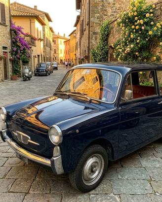 Autobianchi Bianchina panoramica