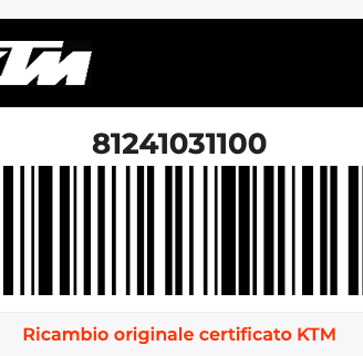 Centralina EFI 11 per KTM - OEM 8124103110 - NUOVA