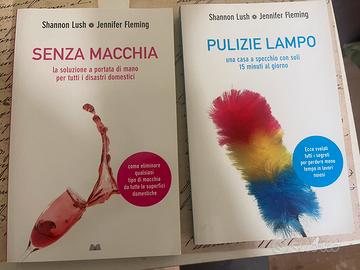 Libri pulizie veloci