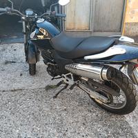 Honda Vigor 650
