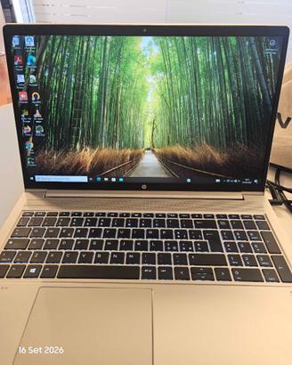 HP ProBook 455 G8