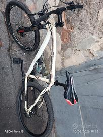 bicicletta GFM 26