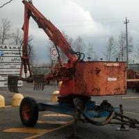 Caricaletame scalmana