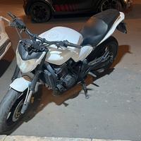 Honda hornet